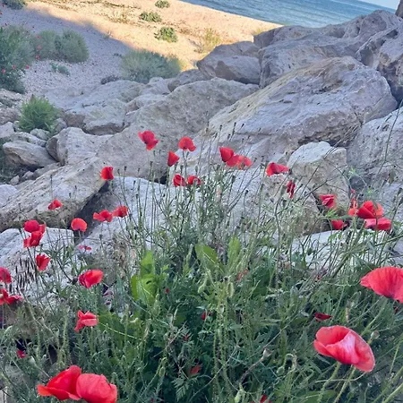 Cris Sea View In Blaxy Douăzeci şi Trei August